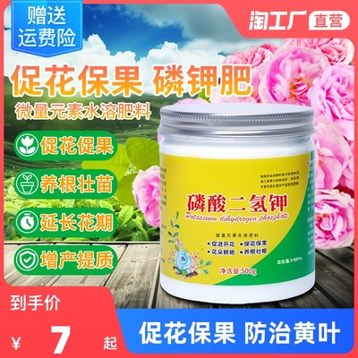 當前網購流行產品