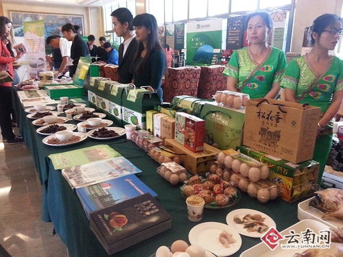 食品加工業的概述