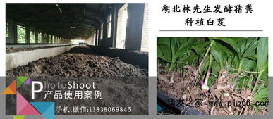 哪個廠的豬糞發(fā)酵劑用的人多產(chǎn)品靠譜