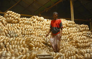 孟加拉國(guó)的自然條件并不算差,為何會(huì)如此貧窮