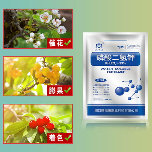 正品葉面肥 通用型花卉肥料，促花促果，家用大包裝包郵首選